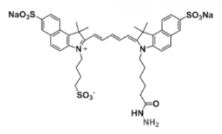 水溶性三磺酸基荧光染料triSulfo-Cy5.5 Hydrazide，Ex/Em(nm) 673/691 的产品参数及结构式解析