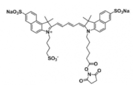水溶性三磺酸基trisulfo-Cy5.5 NHS ester/琥珀酰亚胺活化酯，Ex/Em(nm) 673/691 产品介绍及结构式解析