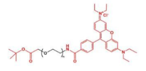 荧光染料罗丹明聚乙二醇叔丁酯，RB-PEG-COOtBu，Rhodamine-PEG-COOtBu