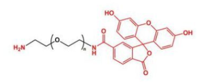 FITC荧光素-聚乙二醇-氨基，FITC-PEG-amine/NH2/氨基 的产品性质解析
