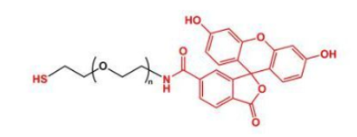 荧光素标记聚乙二醇巯基，FITC-PEG-SH，Thiol-PEG-FITC，Fluorescent-PEG-SH产品解析