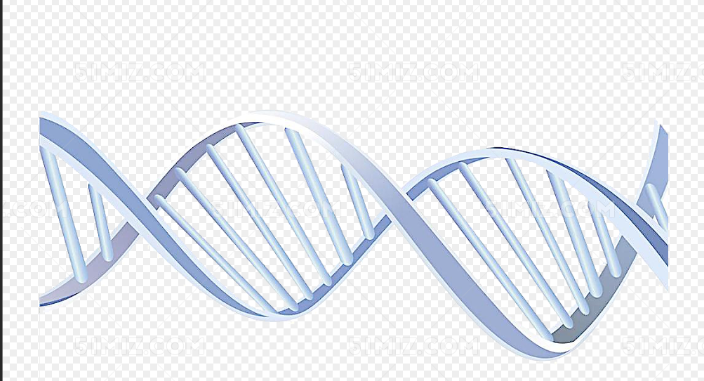 生物素标记DNA(脱氧核糖核酸)