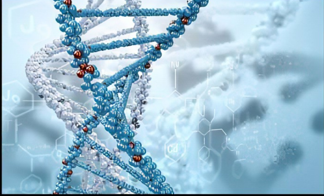 DNA偶联砷化铟InAs量子点