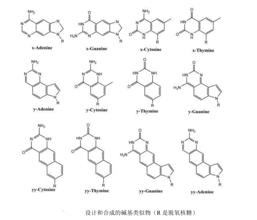 脱氧核糖核酸DNA修饰纳米银颗粒