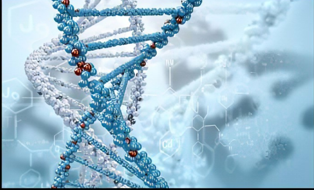 荧光染料CY3偶联DNA