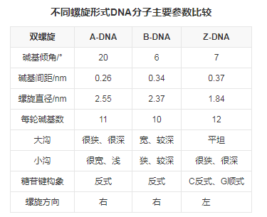 DNA