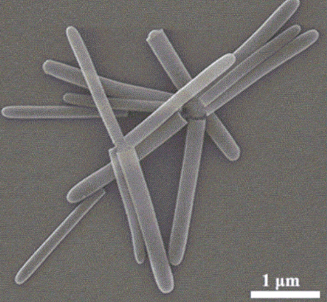 NH2-SiO2 nanorods