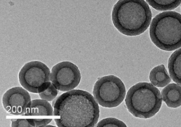 MoS2 Nanoparticles