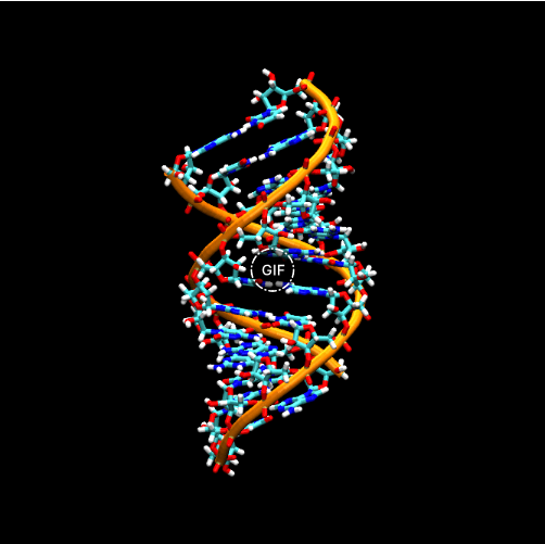 ATTO染料标记RNA核糖核酸
