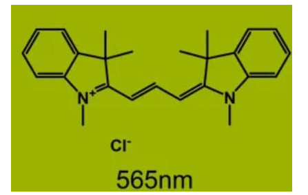 荧光染料CY3偶联聚合物纳米载体