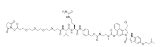 OSu-PEG4-vc-PAB-DMEA Duocarmycin DM