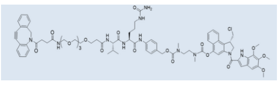 DBCO-PEG4-vc-PAB-Duocarmycin TM