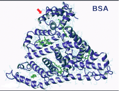 FA-EGCG-BSANP