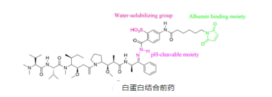 多柔比星牛血清白蛋白纳米粒