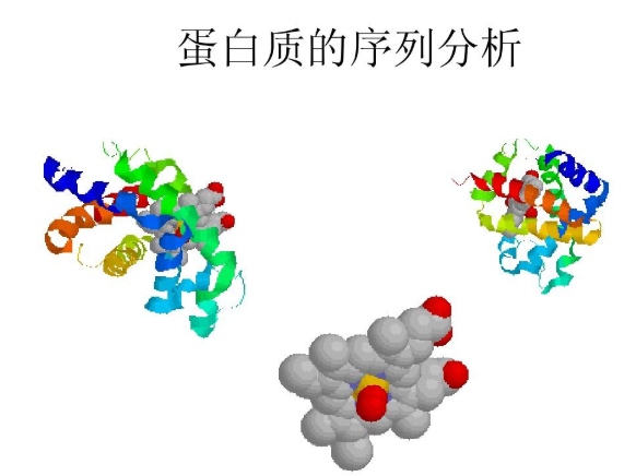 包裹硫鸟嘌呤的白蛋白纳米粒