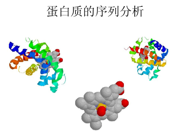 槲皮素-白蛋白纳米粒