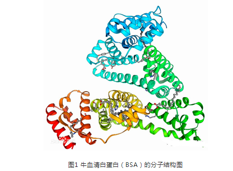 牛血清白蛋白