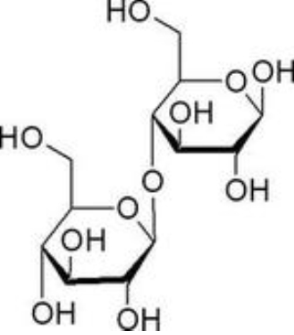 DBCO-PEG-Cellobiose