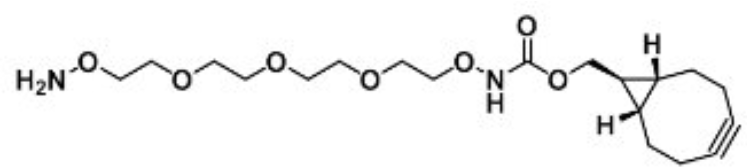 exo BCN-PEG4-O-amine