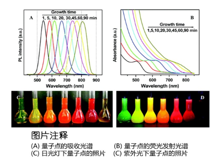 水溶性CdTe/CdS量子点