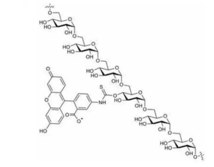 异硫氰基荧光素-葡聚糖