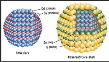 水溶性CdSe/ZnS量子点