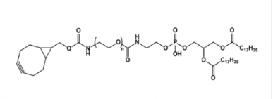 BCN-PEG-DSPE