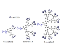 mPEG-Dendro Acid