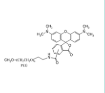 mPEG-Rhodamine