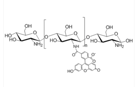 Chitosan-FITC