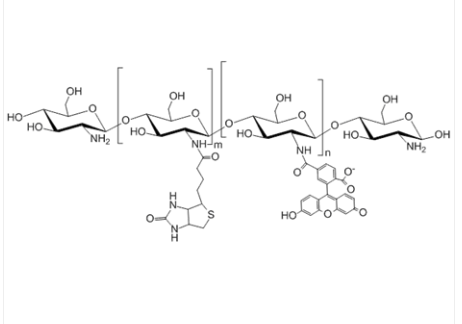 Biotin-Chitosan-FITC