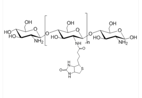 Chitosan-Biotin