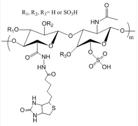 Chondroitin Sulfate Biotin