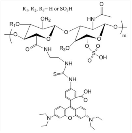 Chondroitin Sulfate Rhodamine