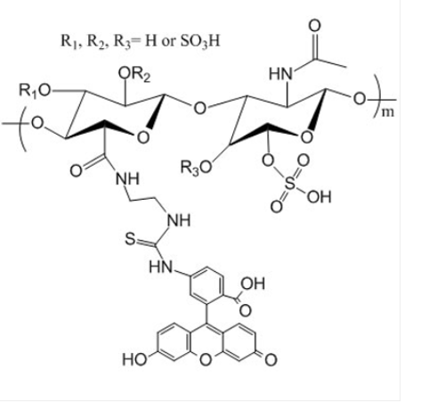 Chondroitin Sulfate FITC