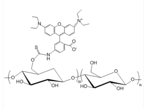 Dextran-Rhodamine