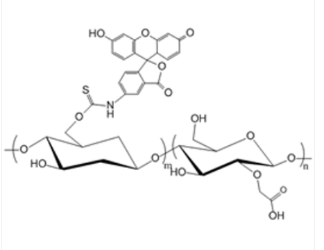 CM-Dextran-FITC