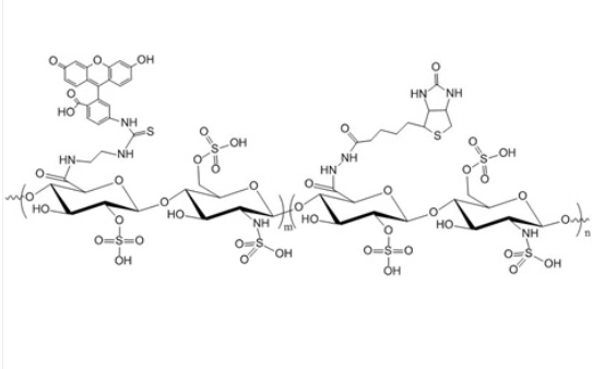 Biotin-Heparin-FITC