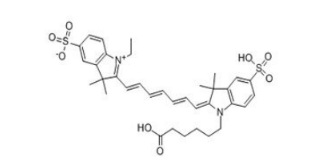 海藻酸钠-七甲川染料CY7
