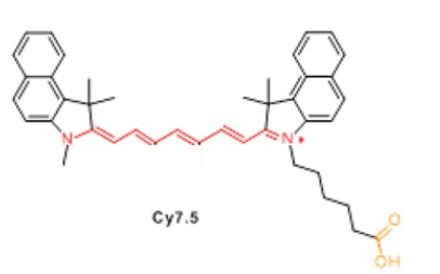 CY7.5标记海藻酸钠