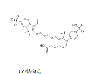 壳聚糖-七甲川染料CY7