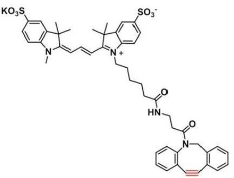 diSulfo-Cy3 DBCO(Methyl)