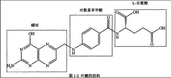 甘露糖-叶酸