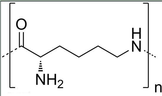 甘露糖-聚赖氨酸