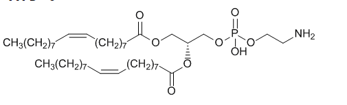 半乳糖-二油酰基磷脂酰乙醇胺
