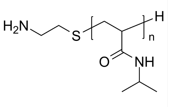 PNIPAM-NH2