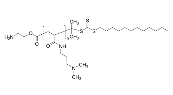 PDMAPAMD-NH2