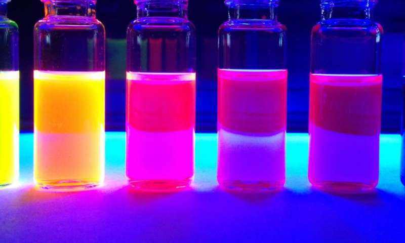 CY3标记牛血红蛋白Hemoglobin from bovine blood Hemoglobin