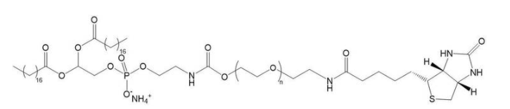 DSPE-PEG2000-Biotin