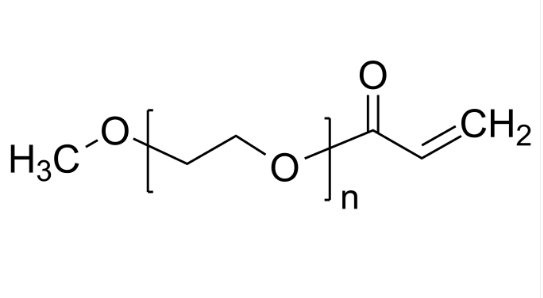 mPEG-acrylate